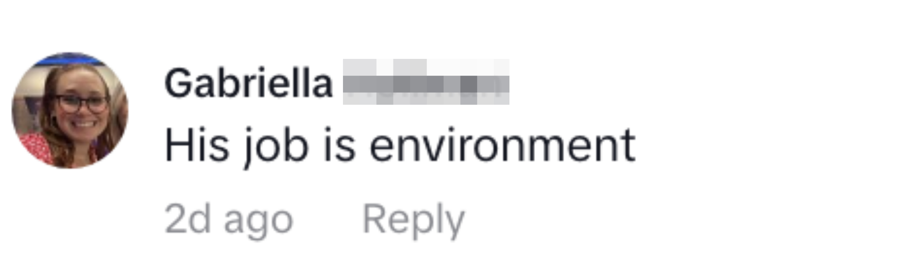Commenter says his job is environment