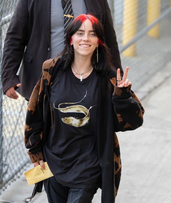 Close-up of Billie walking and smiling