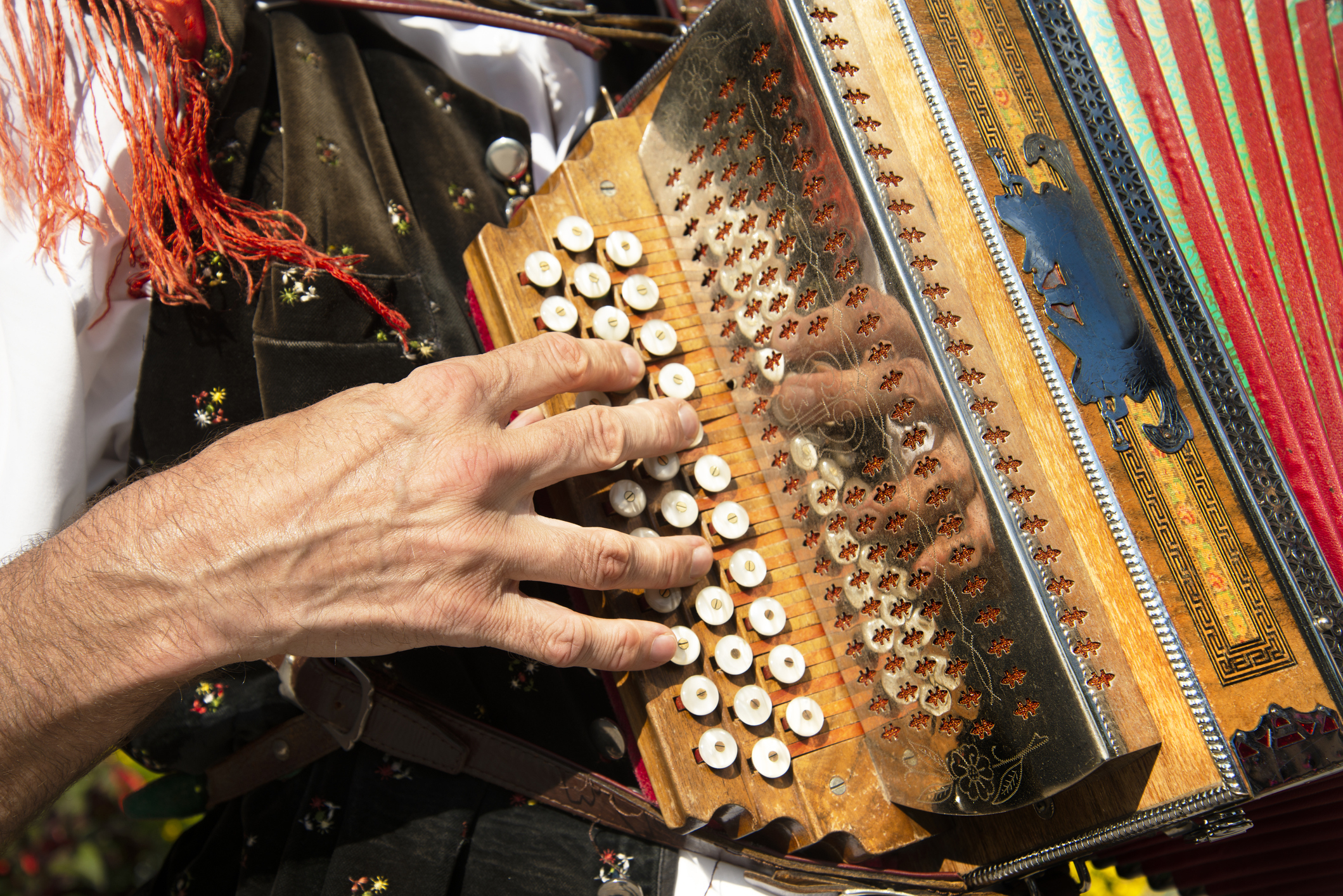 a close-up of a musician&#x27;s hand playing the accordian