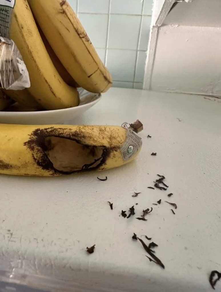 an empty banana