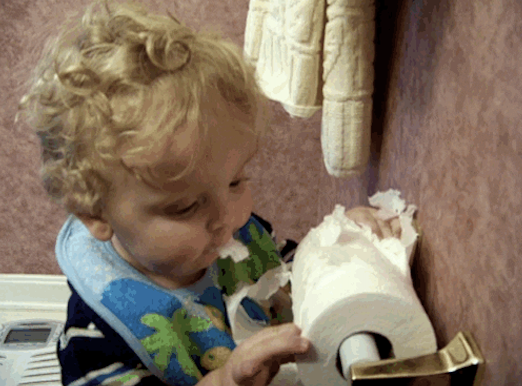 A toddler takes a bite out of a roll of toilet paper