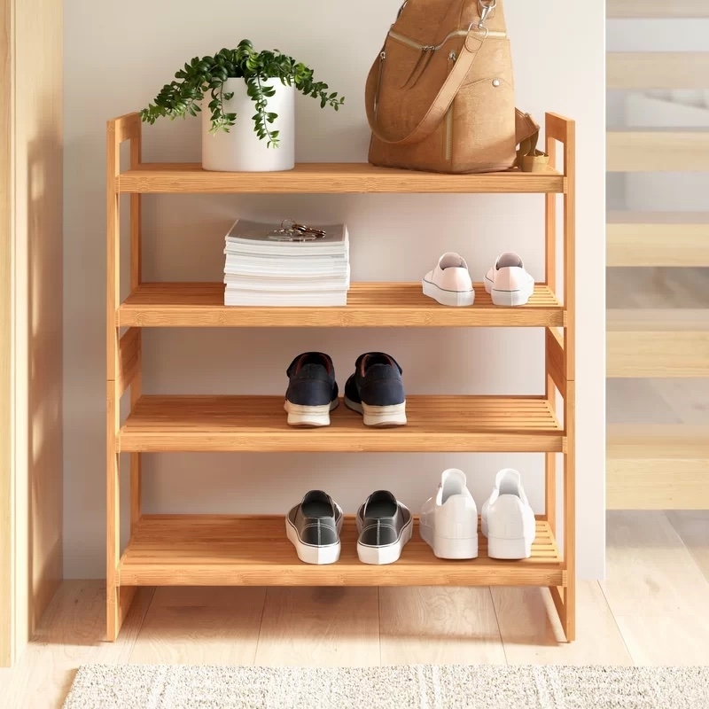 shoes, books, and plant stacked on four-tier shoe rack