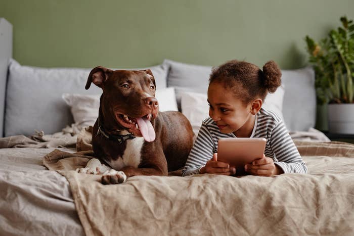 young girl and her pit bull on the bed