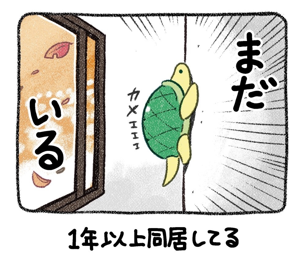 漫画「1年以上同居してるけど円満に別れたい」