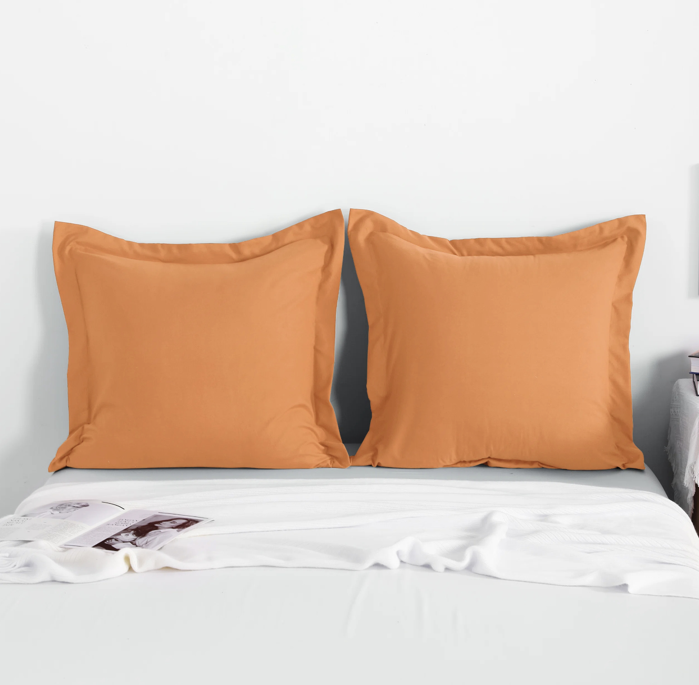 A set of two tan pillow shams