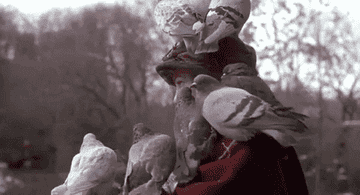A woman with a bunch of pigeons all over her looks over her shoulder.
