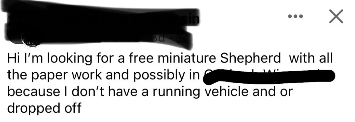 &quot;I&#x27;m looking for a free miniature Shepherd&quot;