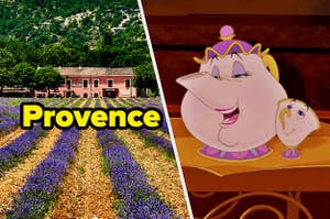 Provence, France and Mrs. Potts and Chip.