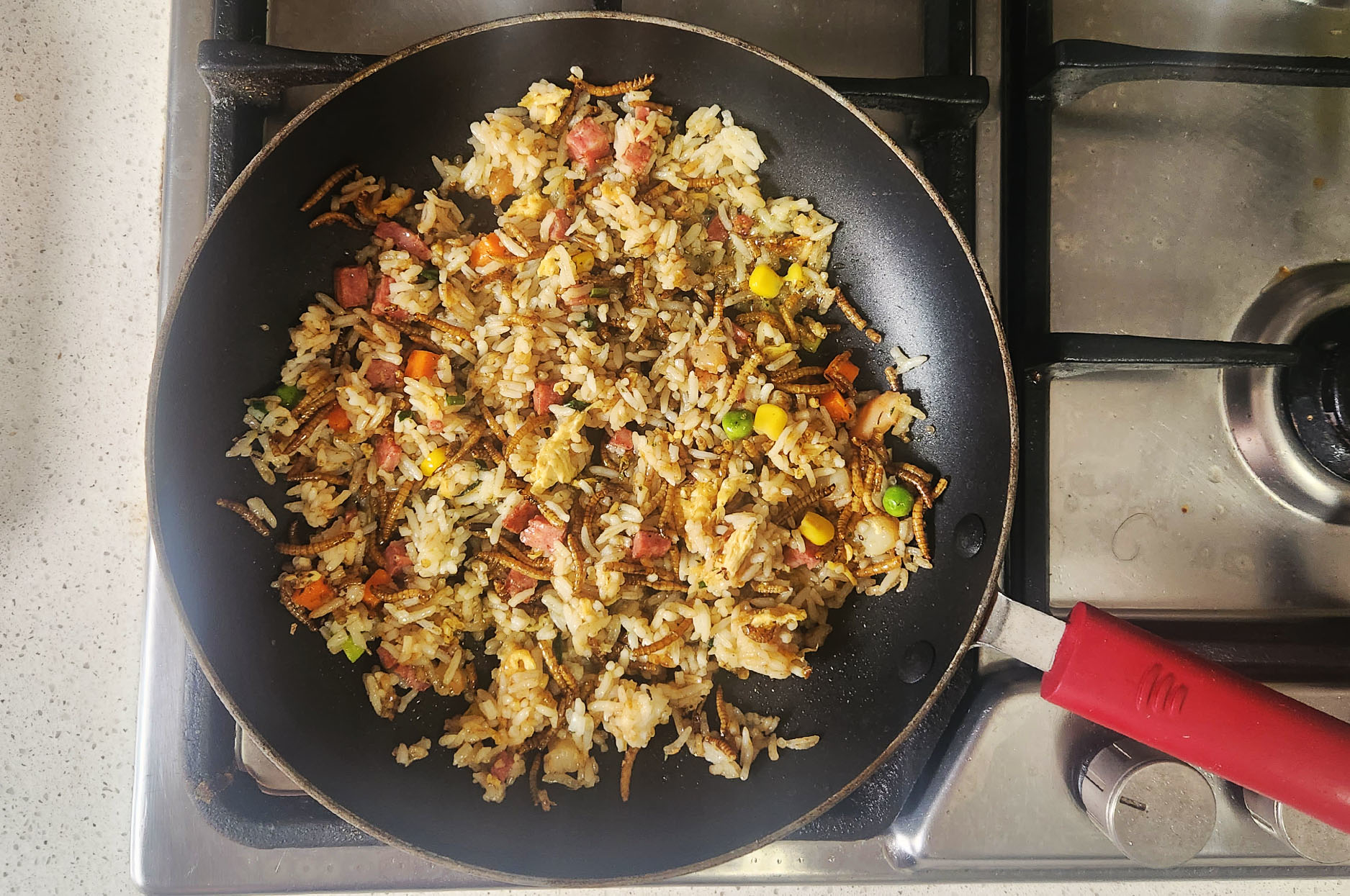 Mealworm fried rice