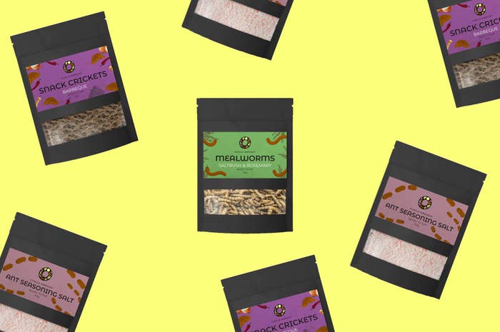 Edible Insects