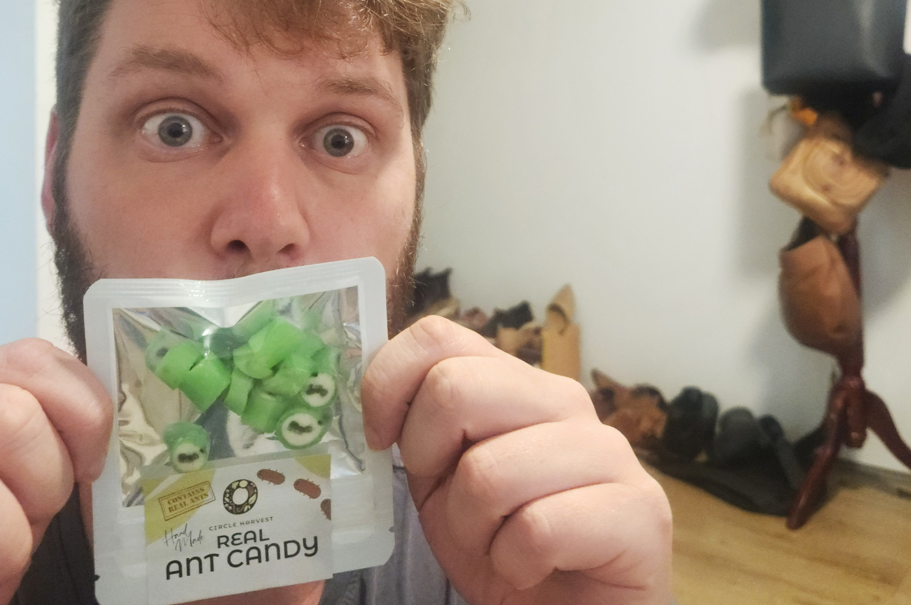 Joel Burrows with ant candies