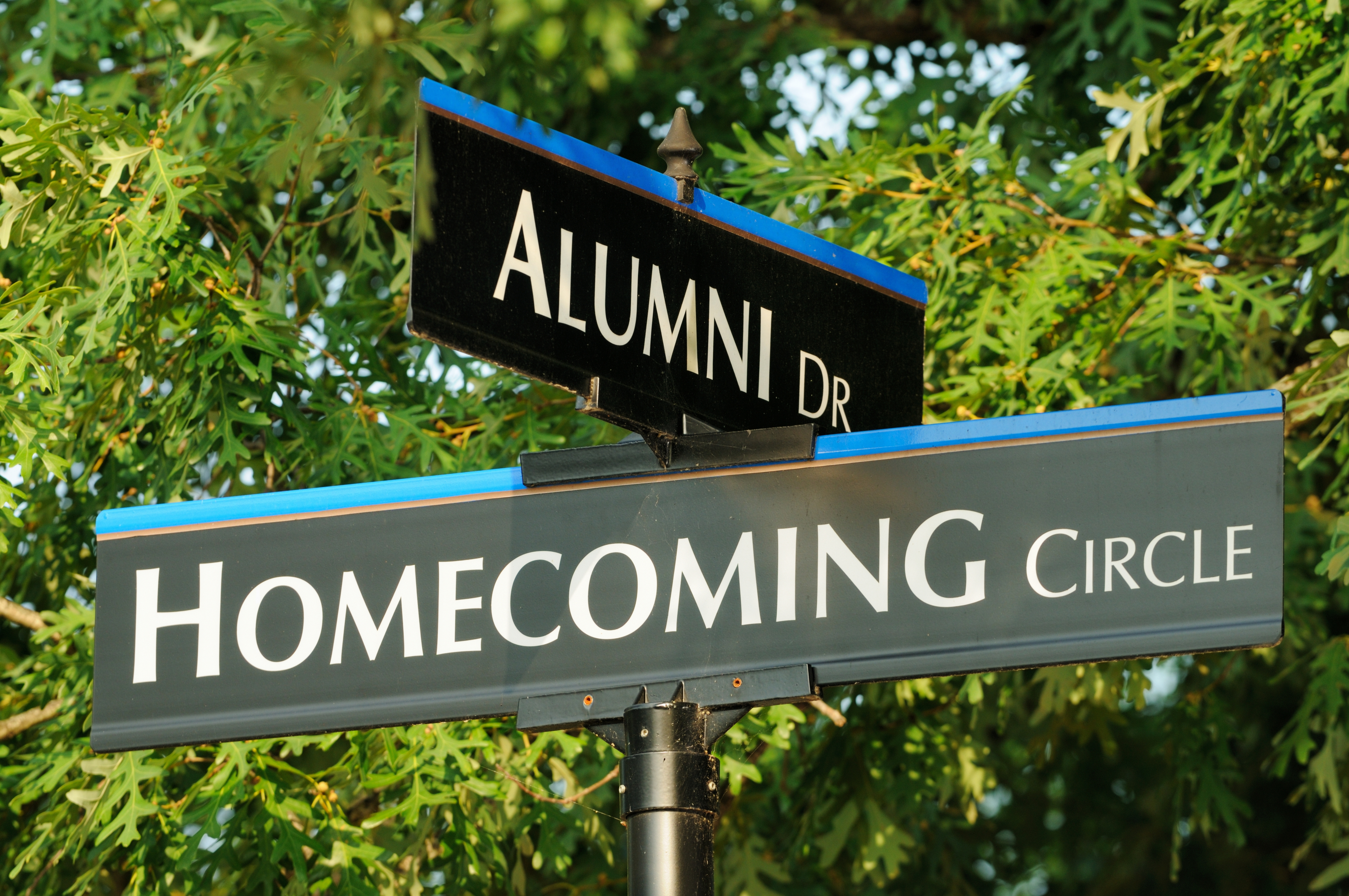 a street sign that crosses at &quot;Alumni Dr&quot; and &quot;Homecoming Circle&quot;