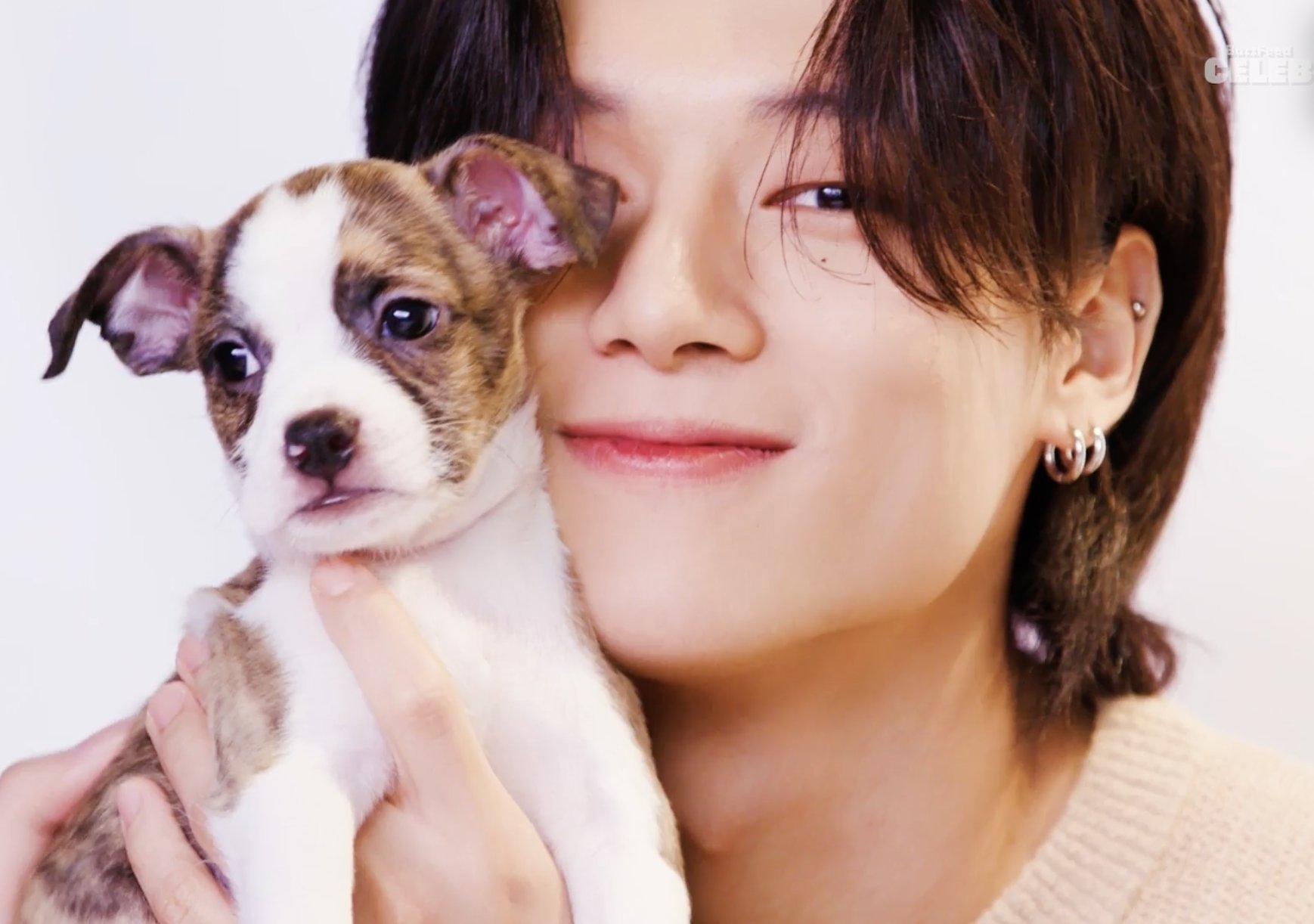 Close-up of a smiling member of Ateez hugging a puppy