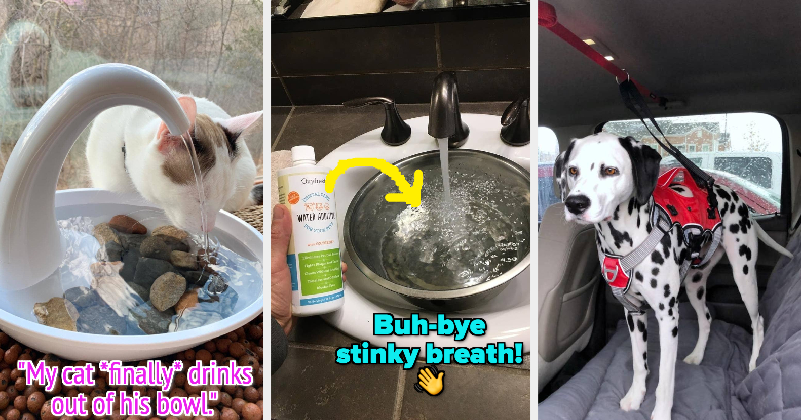 Reviewers Say These 34 Pet Products Are