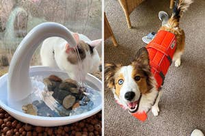 A reviewer's cat drinking out of a fountain bowl and another reviewer's dog wearing an orange doggie life vest