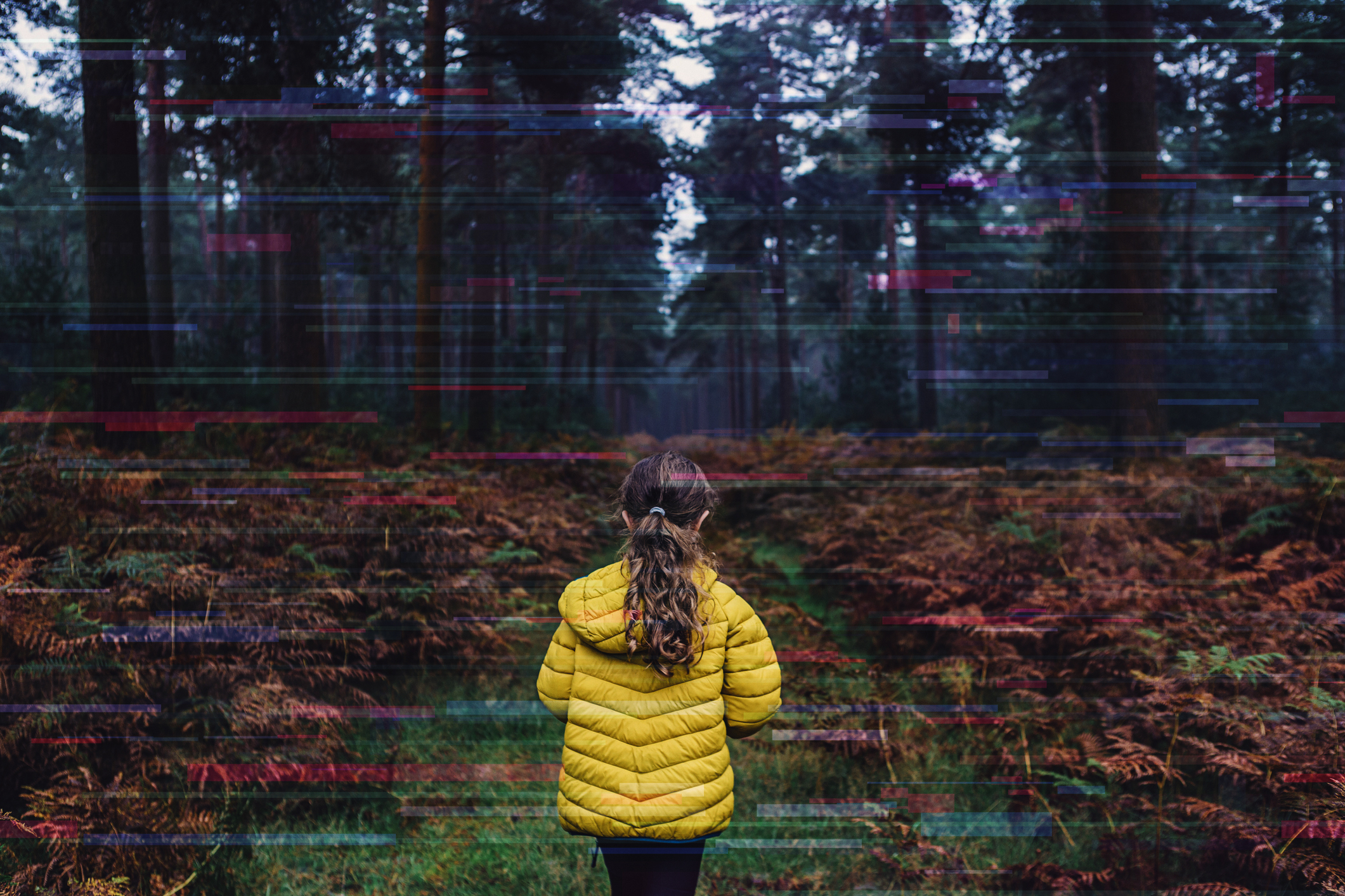 A little girl standing in front of a forest