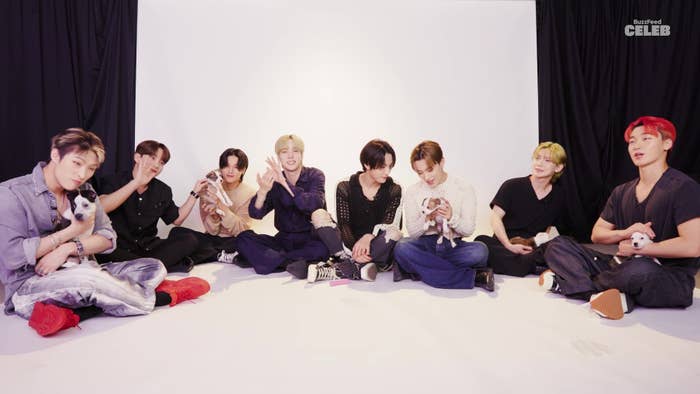 The members of Ateez sitting with the puppies