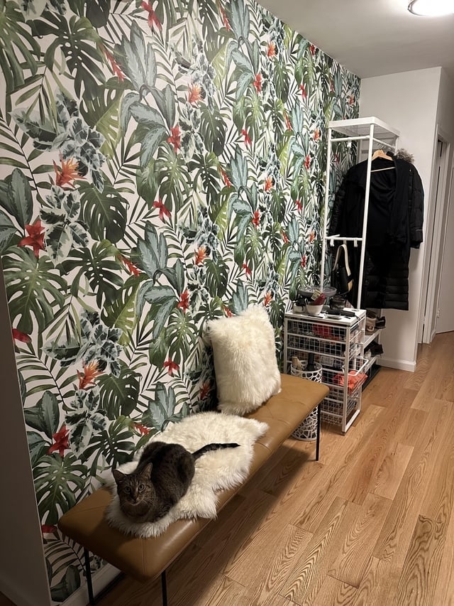 tropical-themed peel and stick wallpaper wall in bedroom