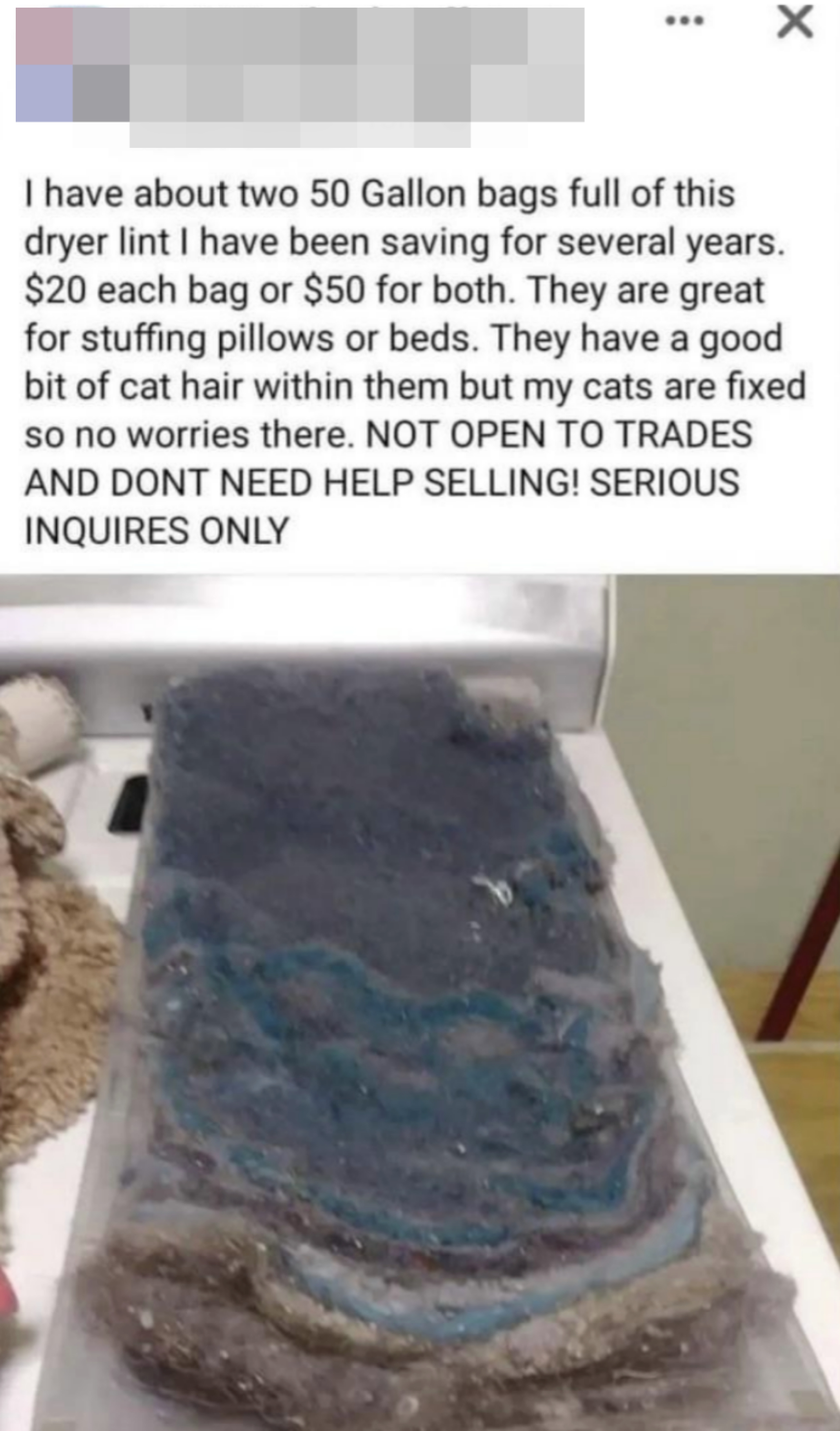 a large piece of dryer lint for sale