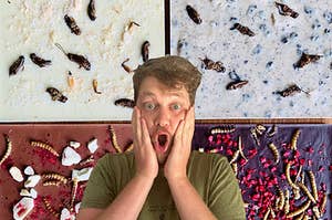 Joel Burrows shocked by insects