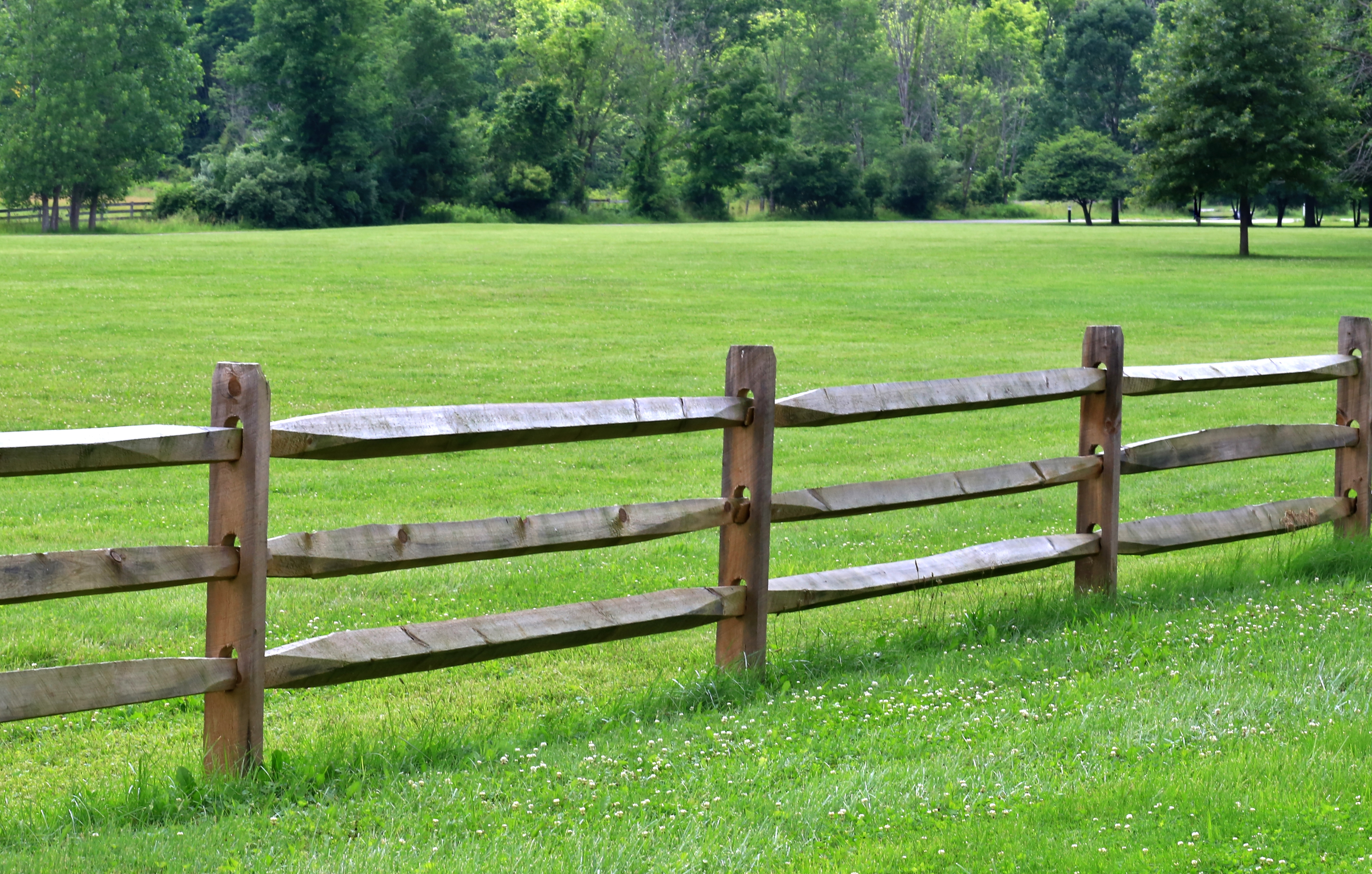 Fence on a large grassy field