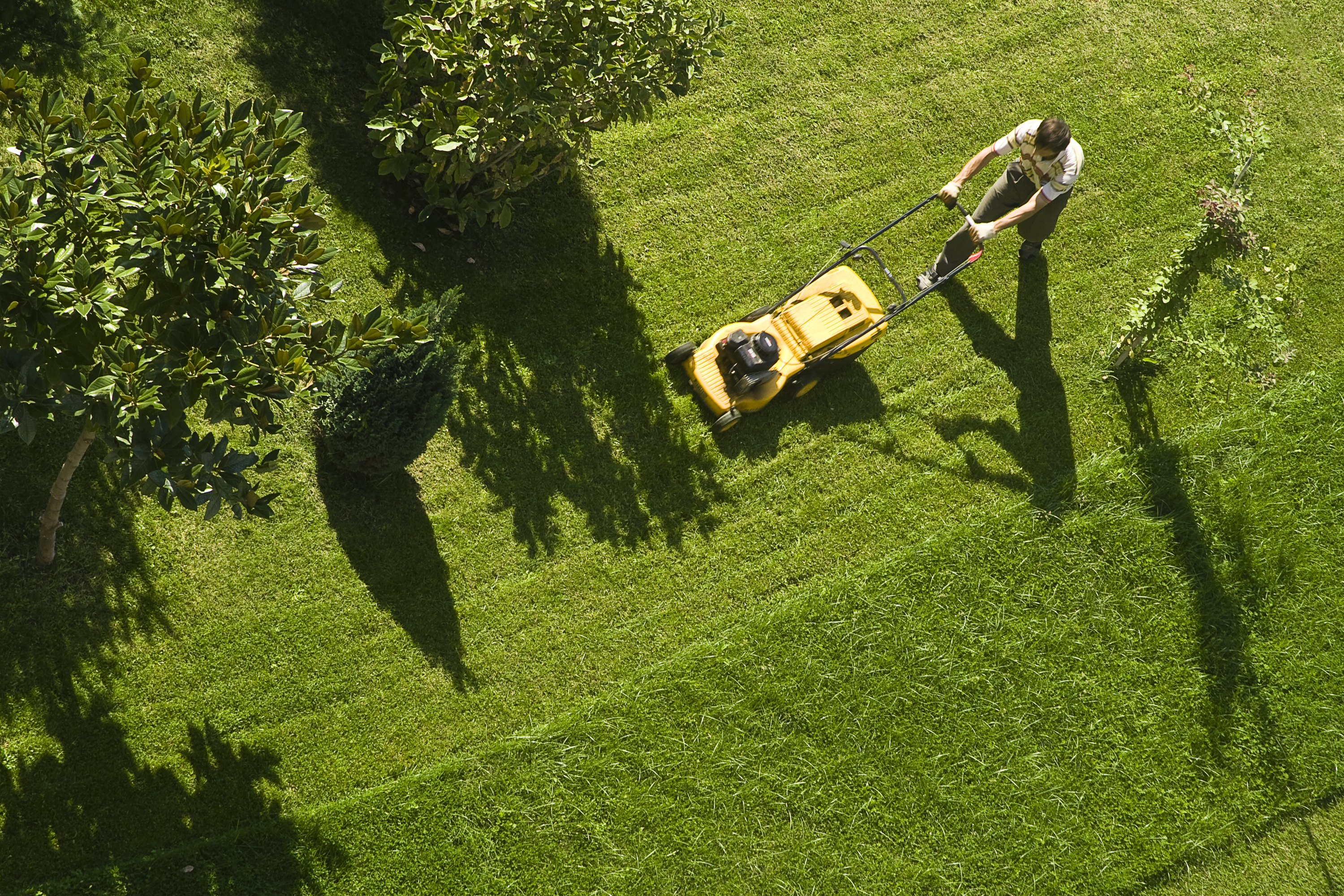 A person is mowing their lawn
