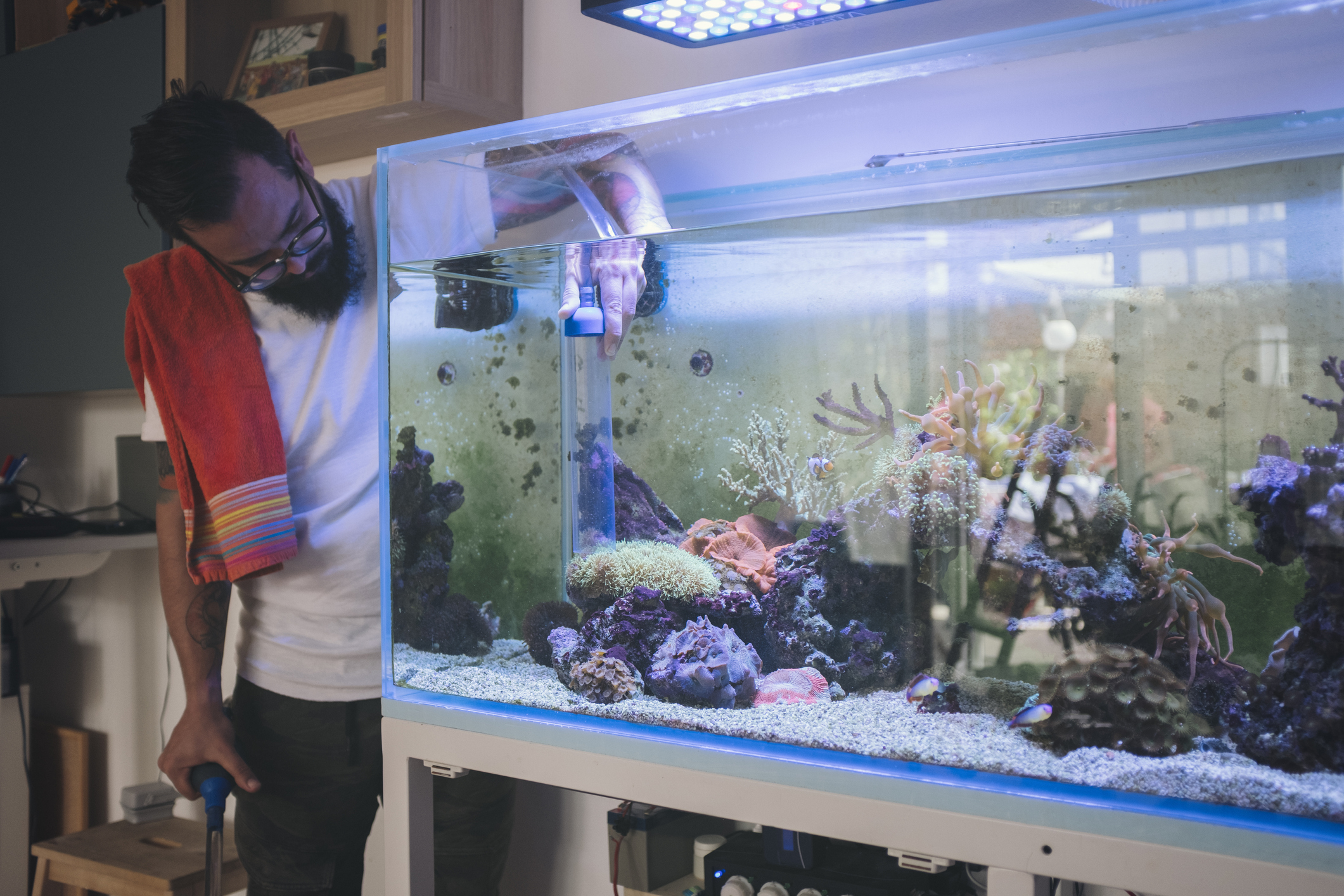 A man is taking care of his fish tank