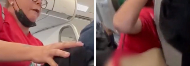 Woman Threatens to Pee in Plane Aisle, Pulls Down Pants After