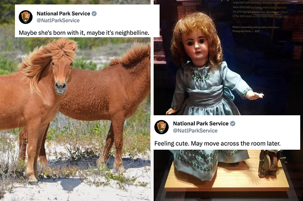 The National Park Service's Account On X Is One Of The Funniest Things
On That Godforsaken Website