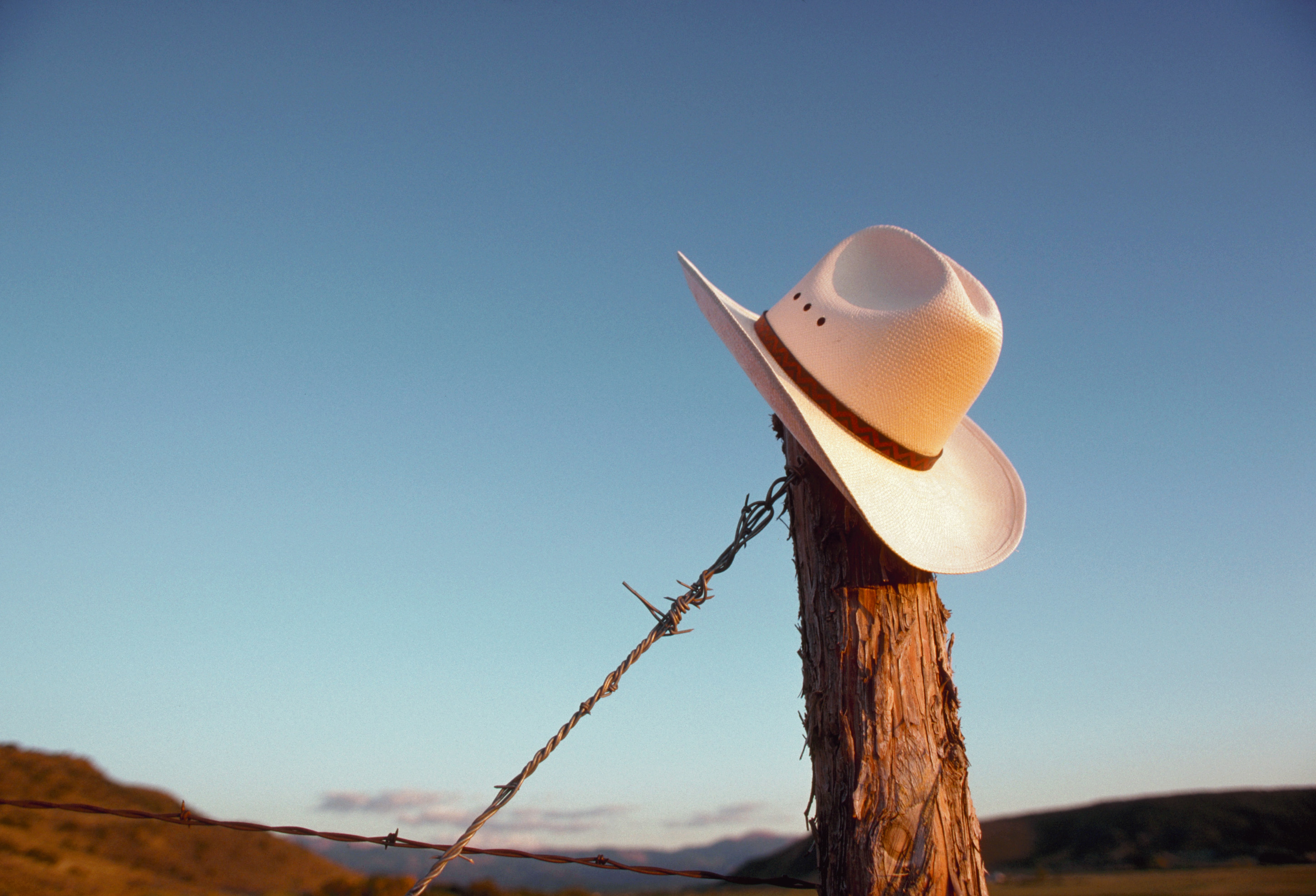 a cowboy hat on a pole