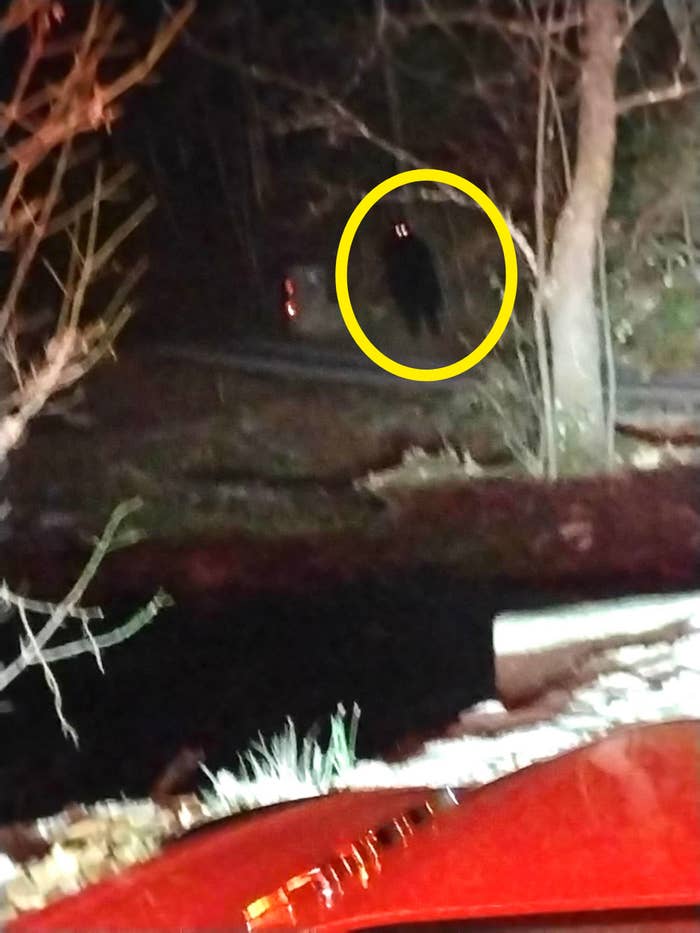 a black figure with glowing eyes