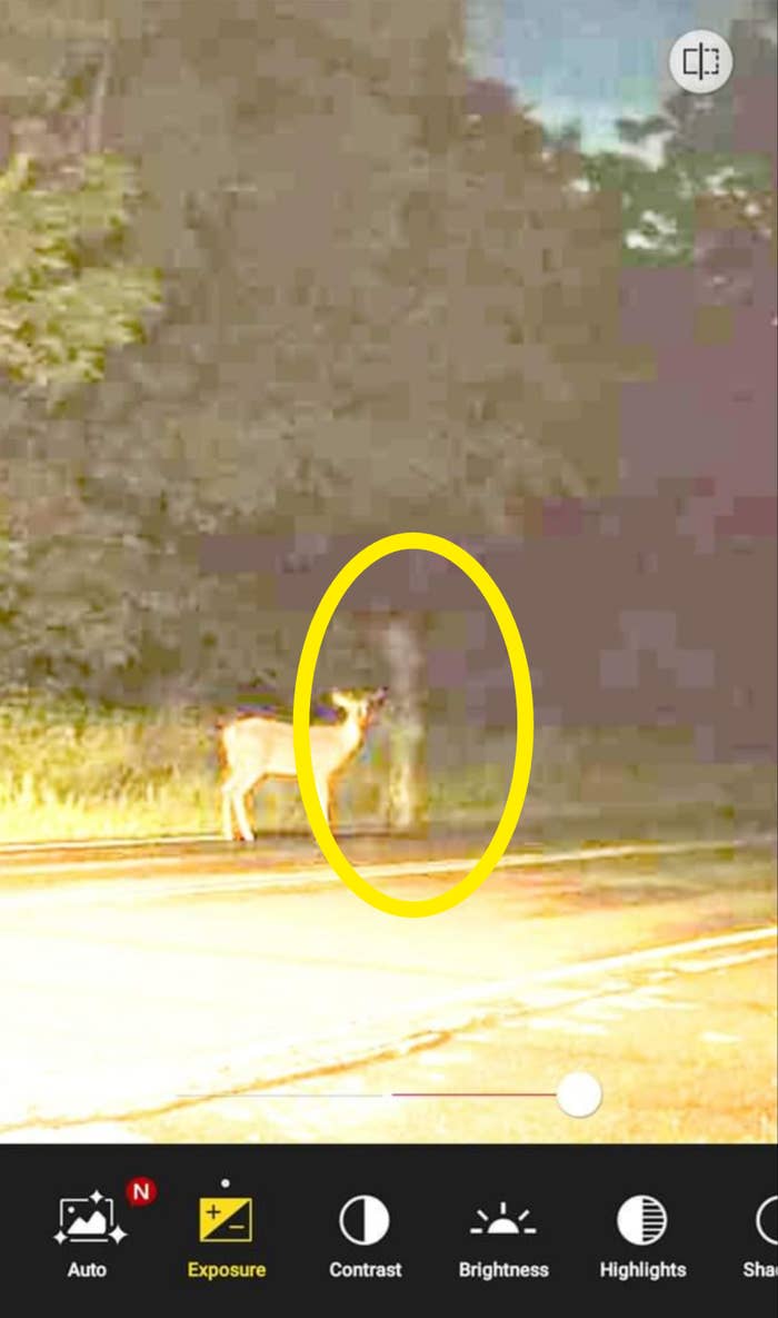 a ghost petting a deer