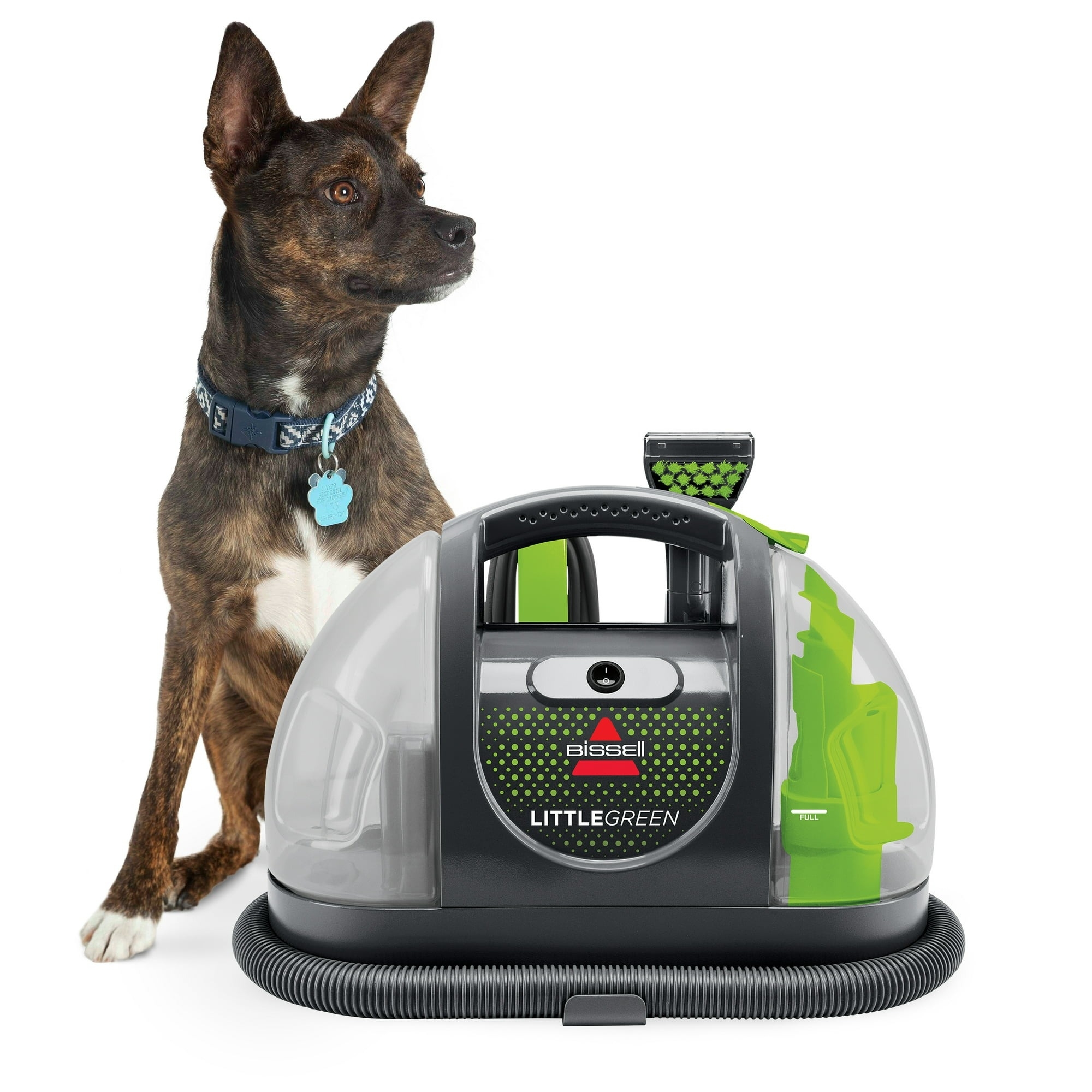 27 Best Black Friday Pet Deals 2023