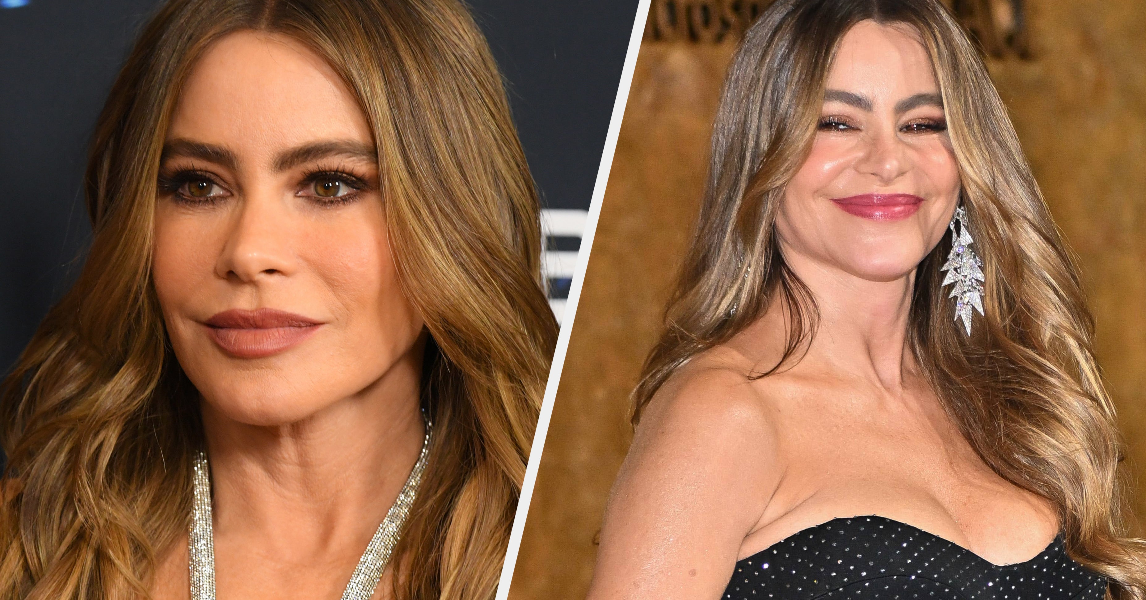 Sofia Vergara looks unrecognizable with bigger nose and wrinkles