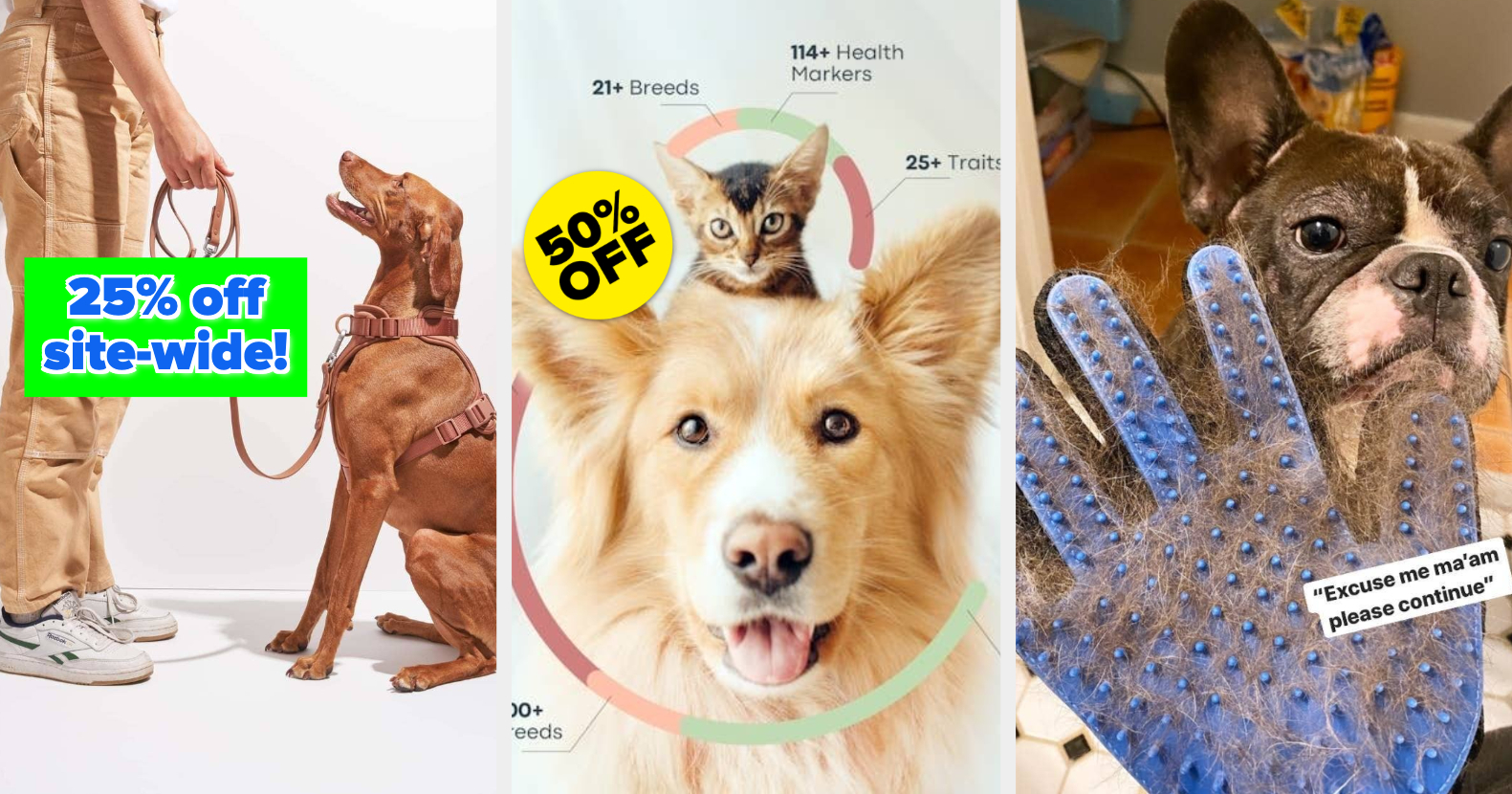 27 Best Black Friday Pet Deals 2023