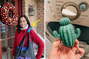 a bag carrying handle / a cactus dryer ball