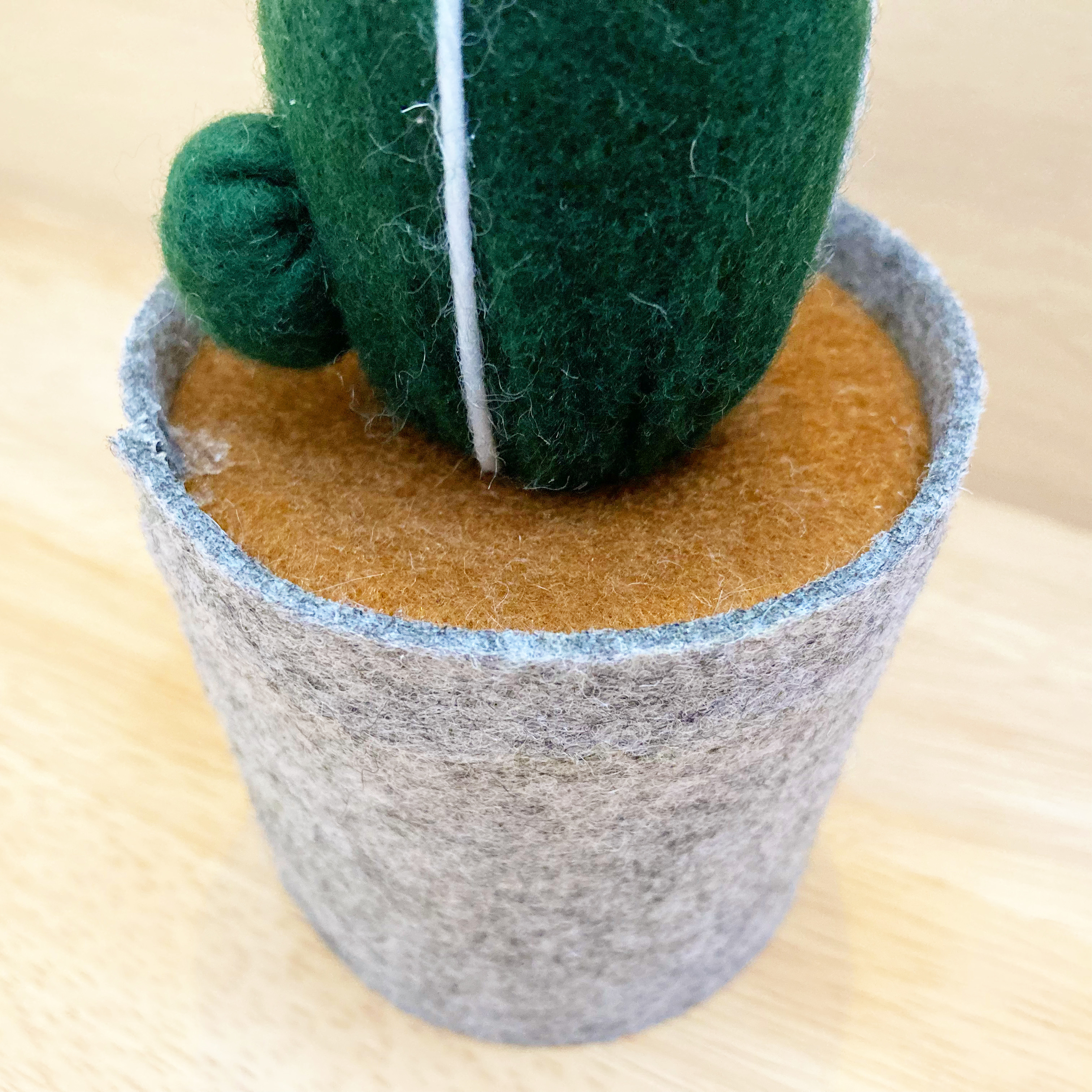 DAISO(ダイソー)のかわいいインテリア「フェルトサボテン」