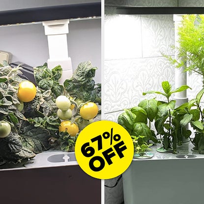 The AeroGarden Harvest Is 67% Off On Amazon For Black Friday, So It's Time To Become An Apartment Farmer