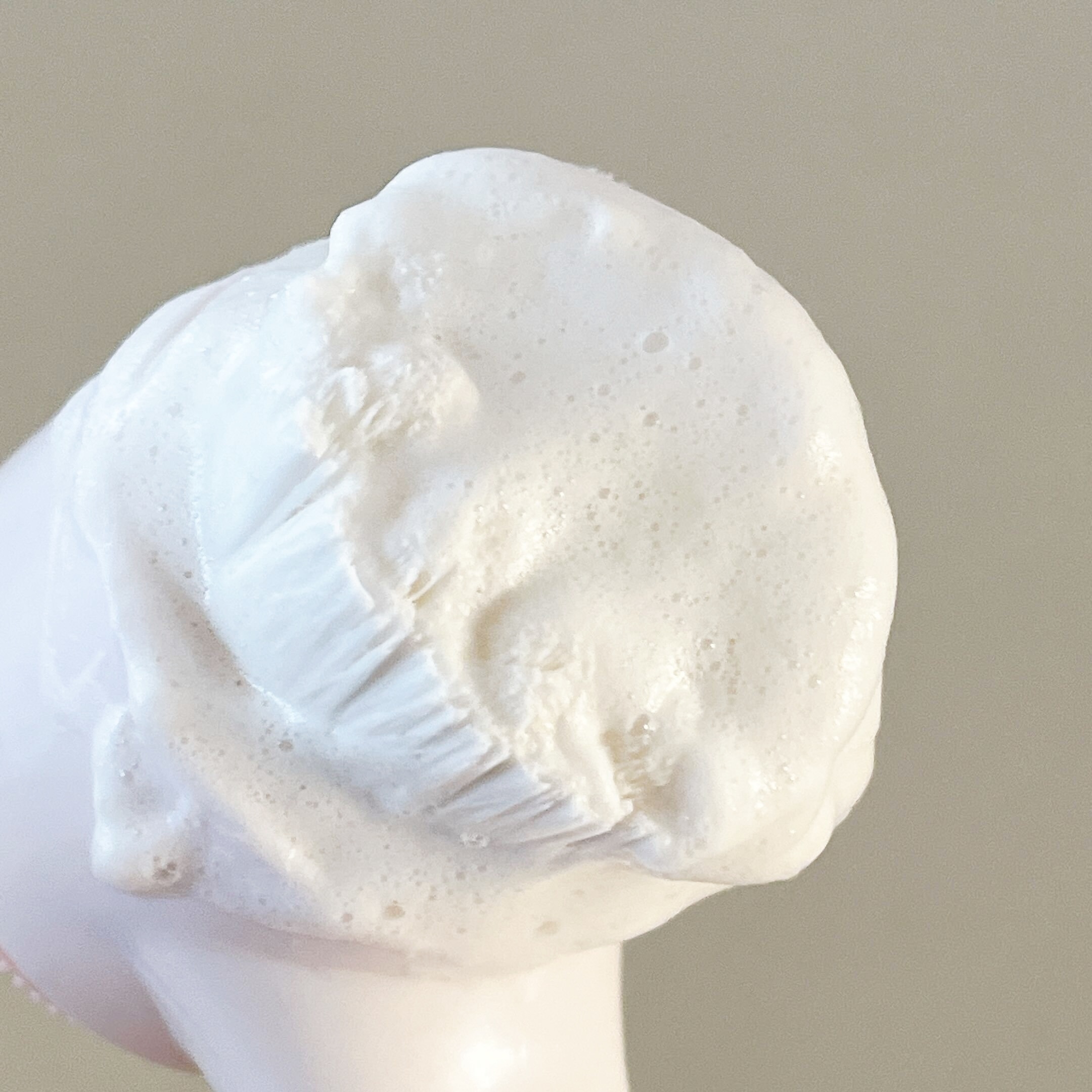 DAISO(ダイソー)のオススメの便利グッズ「ダブル洗顔ブラシ(シリコーン付)」