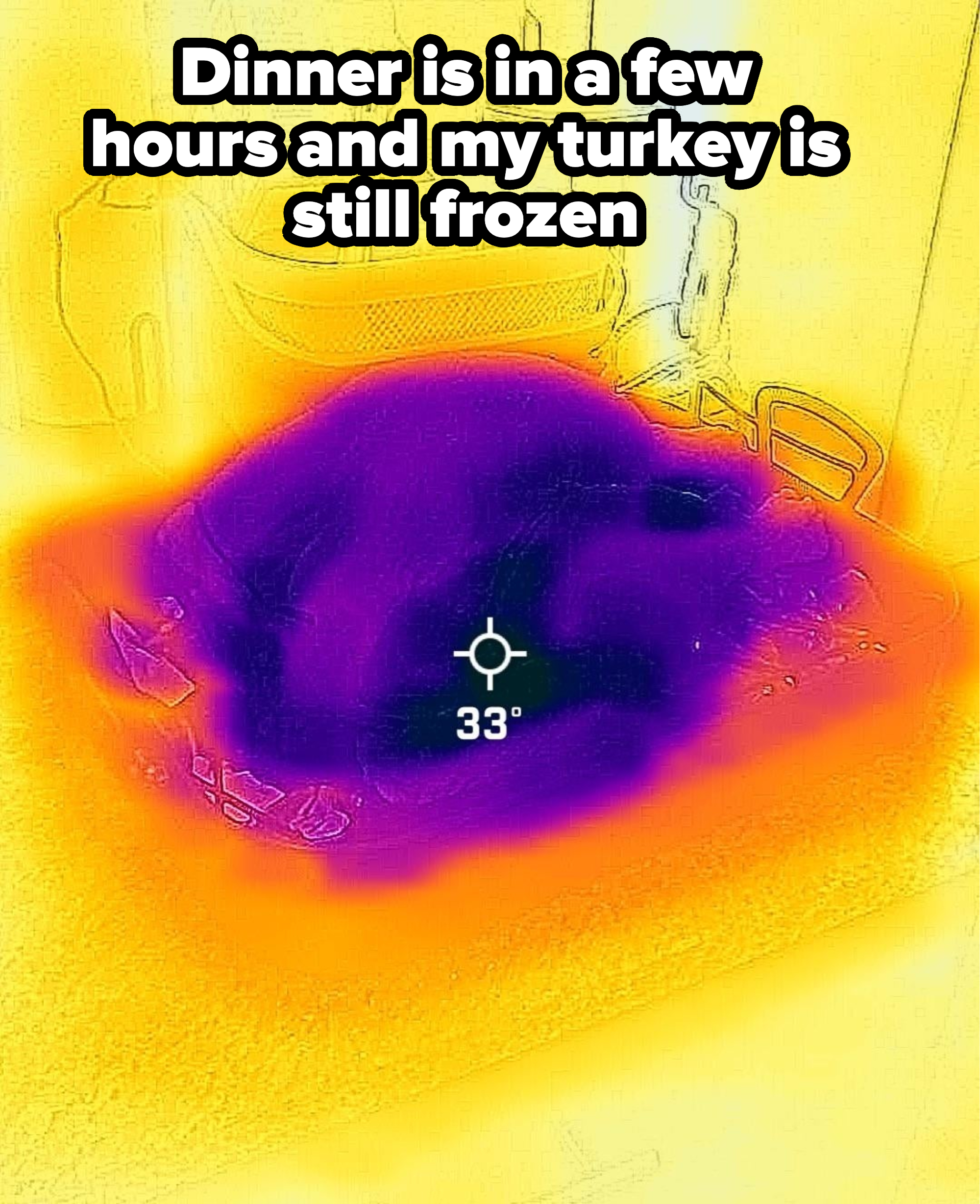 An infrared turkey