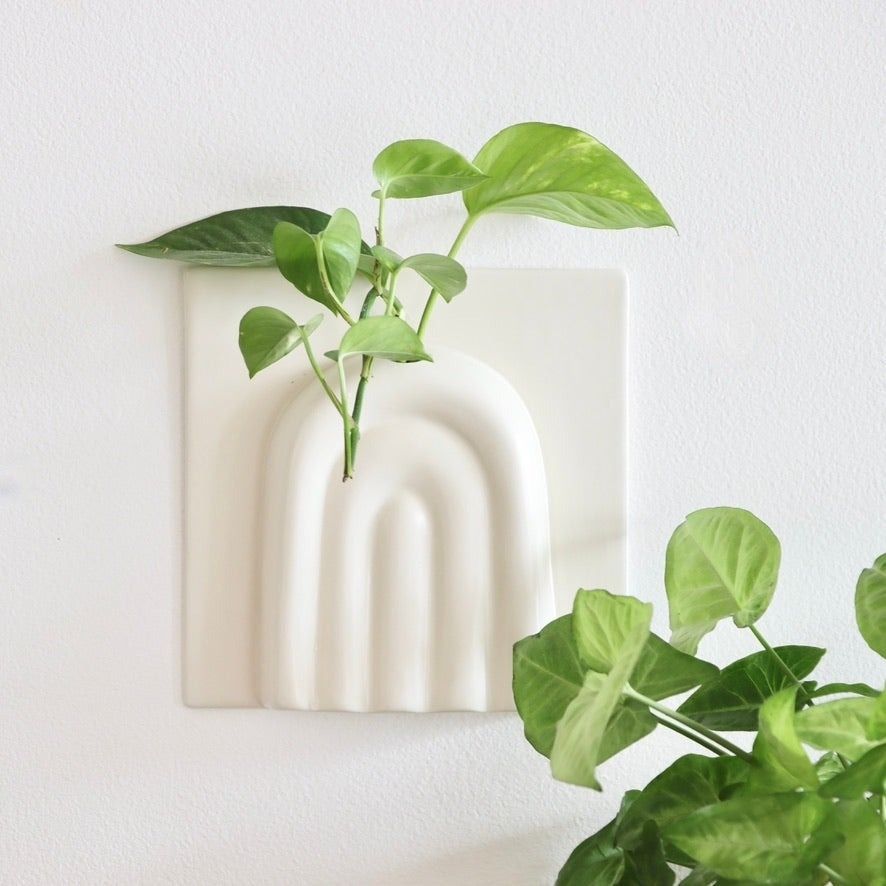 the white rainbow ceramic planter on a wall with a plant cutting in it