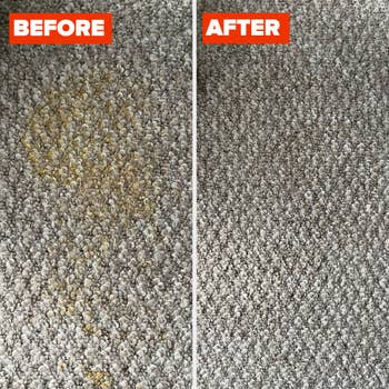 dog vomit on carpet before and after cleaning