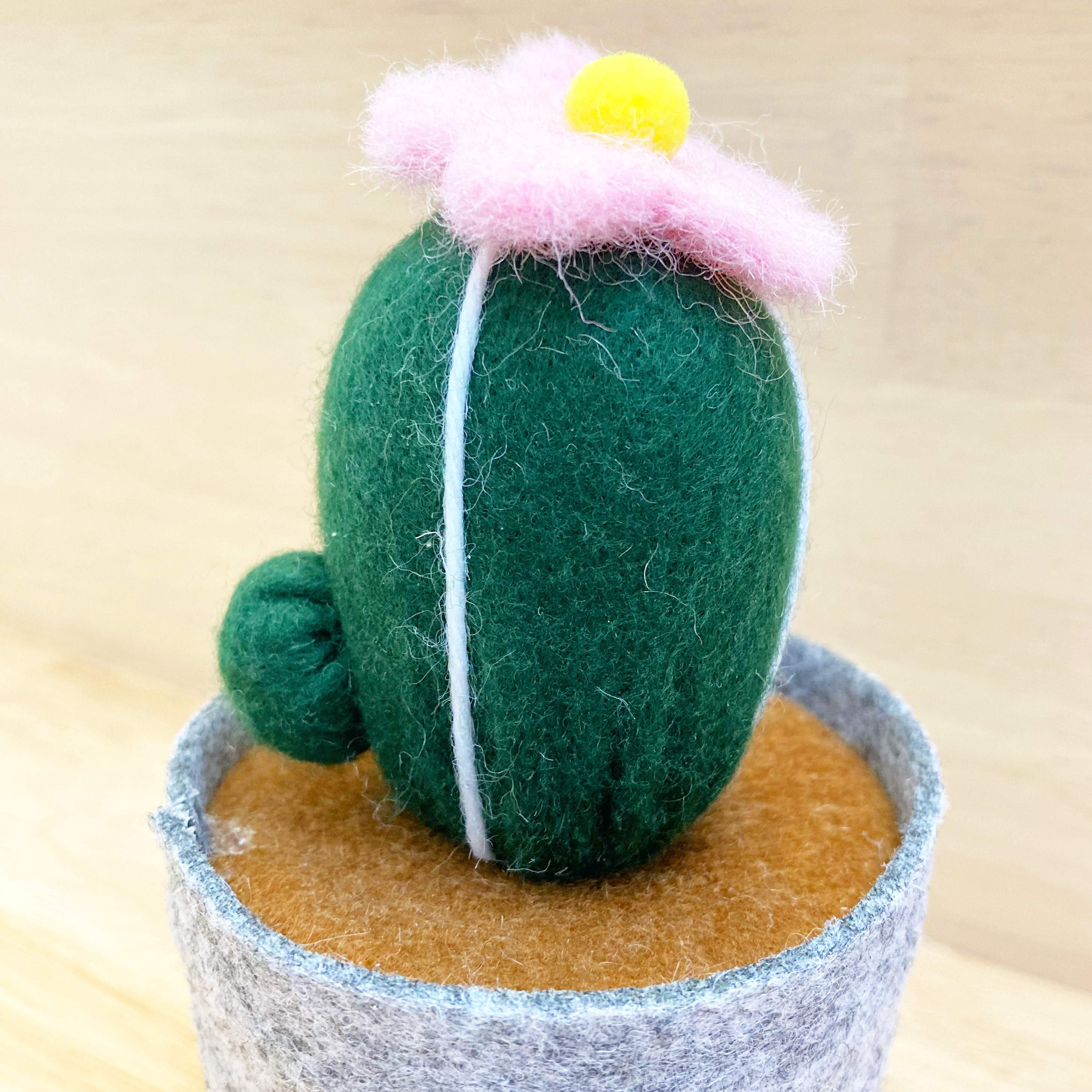 DAISO(ダイソー)のかわいいインテリア「フェルトサボテン」