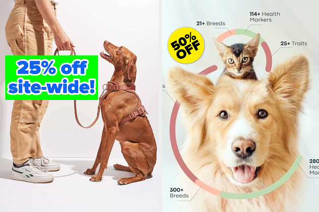 27 Best Black Friday Pet Deals 2023