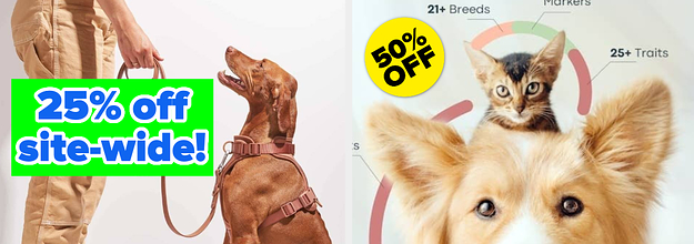 Black friday clearance dog house deals