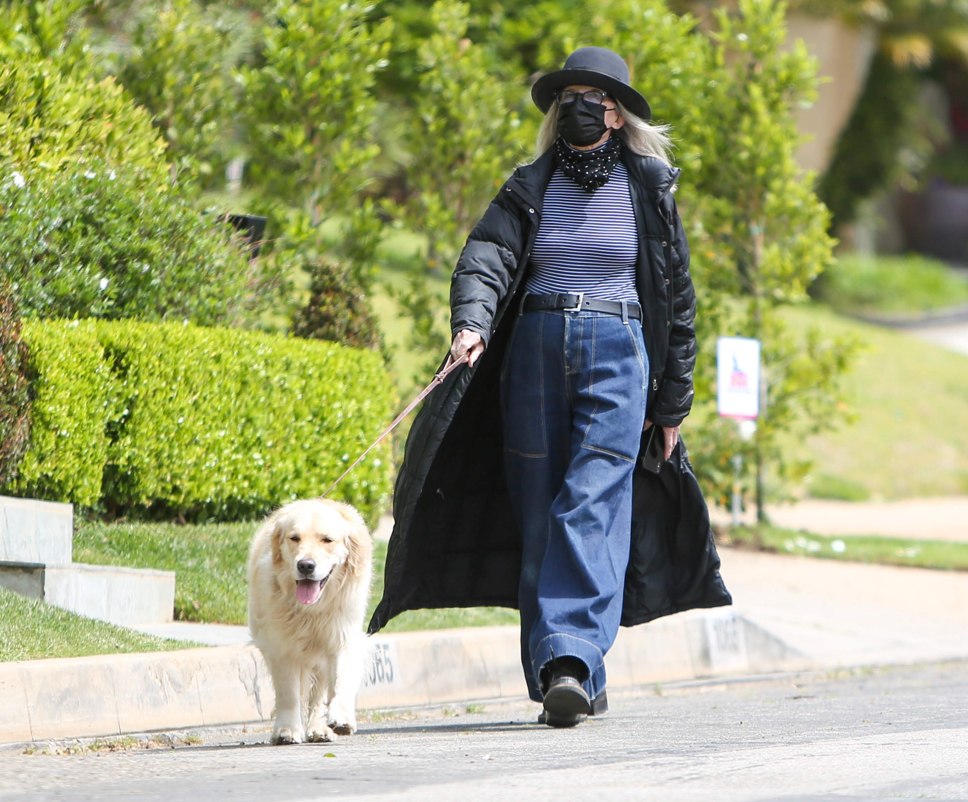 Diane Keaton walking her dog