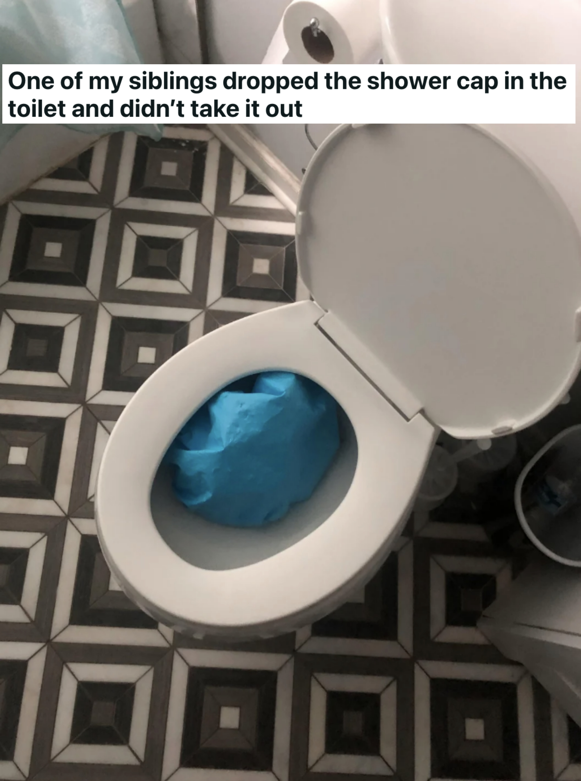 a shower cap in the toilet