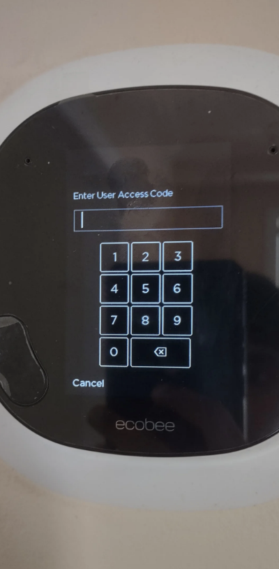 A screen asking for a code
