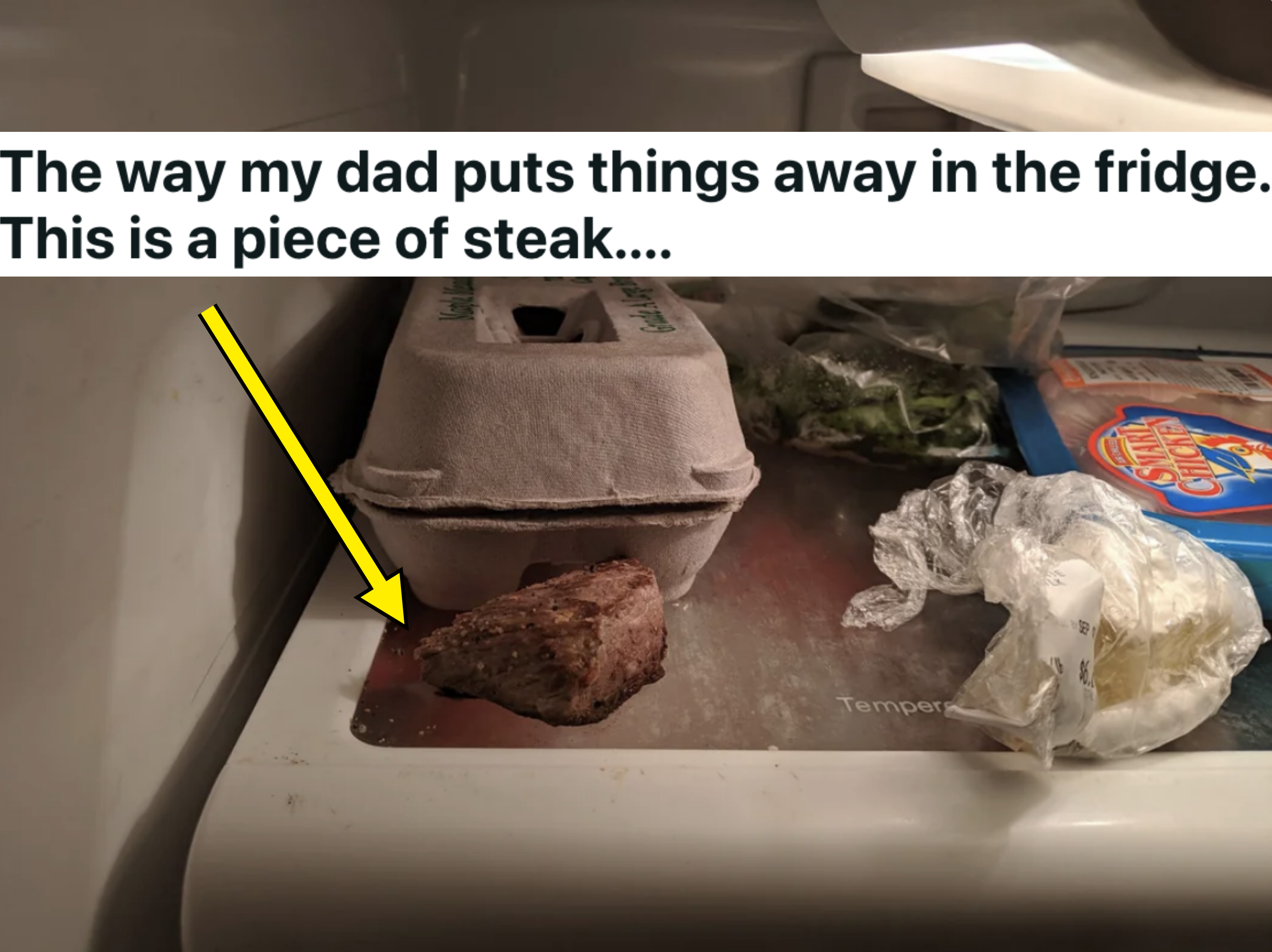 A piece of meat on a fridge shelf