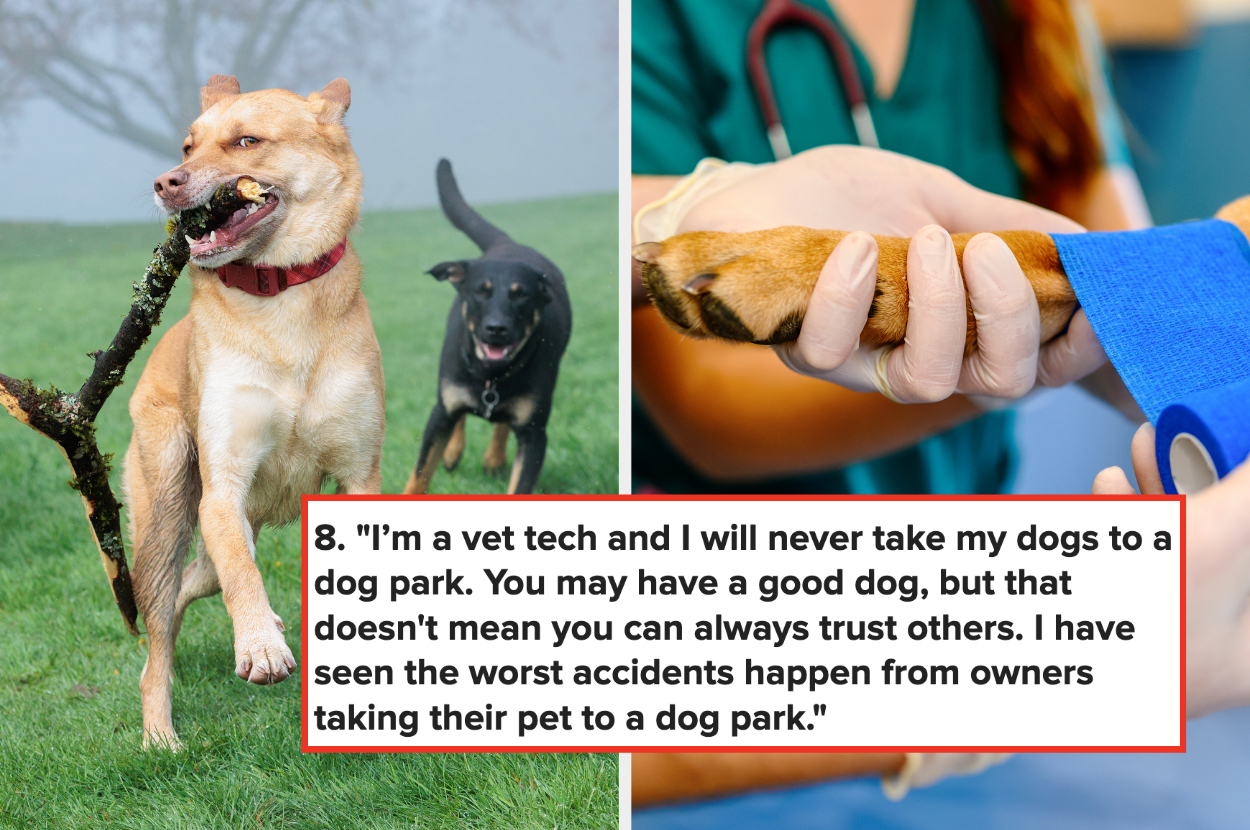 Professionals Who Work With Dogs Reveal What Owners Get Wrong